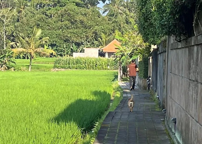 Uma Padi Villa Ubud