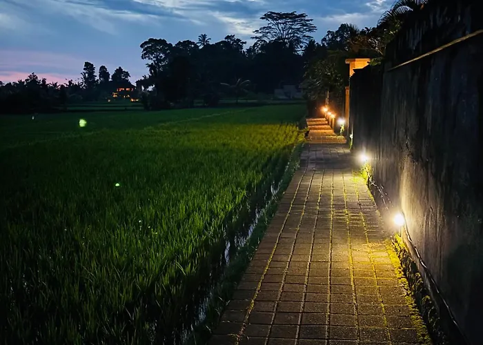 Uma Padi Ubud