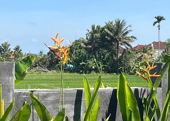 Villa Uma Padi *